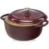 6 Quart Large Maroon Cabernet Red Enamel Cast-Iron Dutch Oven Kitchen Cookware